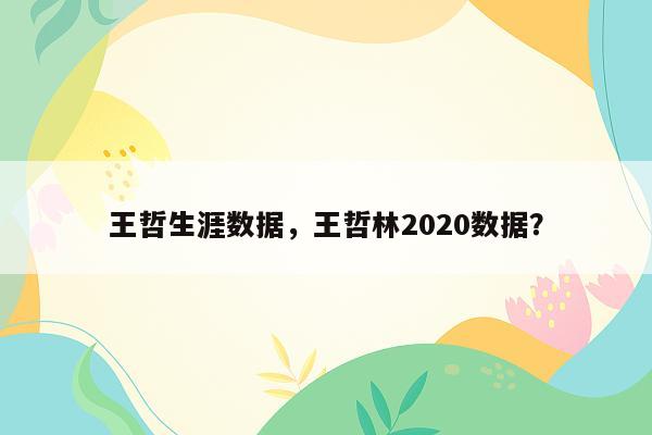 王哲生涯数据，王哲林2020数据？