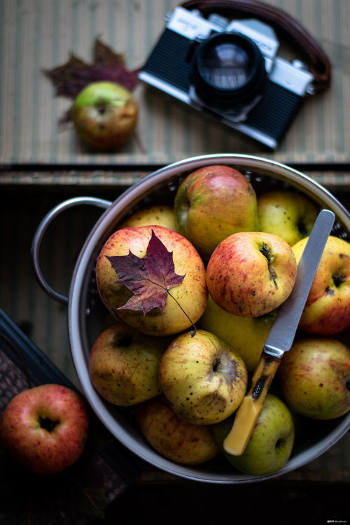 秋季饮食,秋季应该多吃哪些东西?