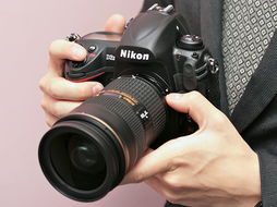 单反和相机的使用区别,数码相机和单反相机区别。  第1张
