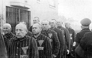 奥斯维辛集中营有多恐怖,奥斯维辛集中营的恐怖之处  第1张