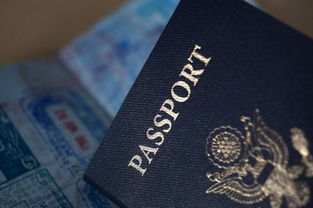 办护照需要什么资料,基本信息  第4张