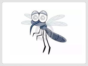  蚊子的鼻子大有用途,昆虫的触角有哪些作用？ 第1张