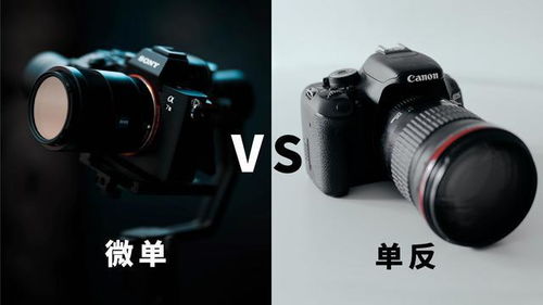 自学摄影买什么单反,摄影入门应该选用哪种单反相机较好？  第1张